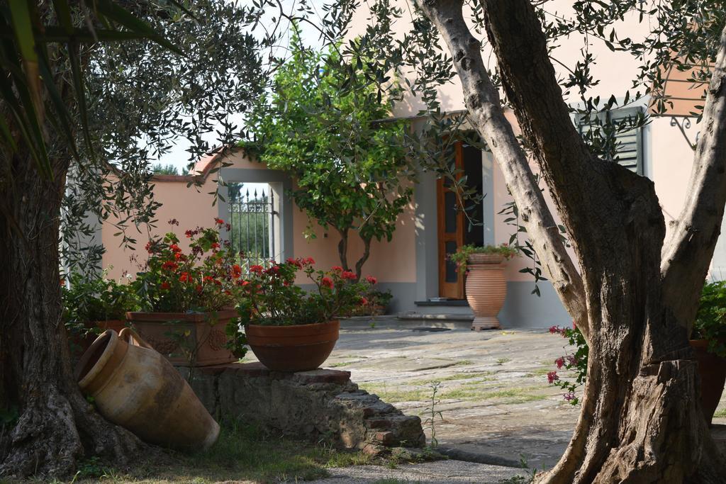 Uliveto Terme La Convenienza B&B 외부 사진