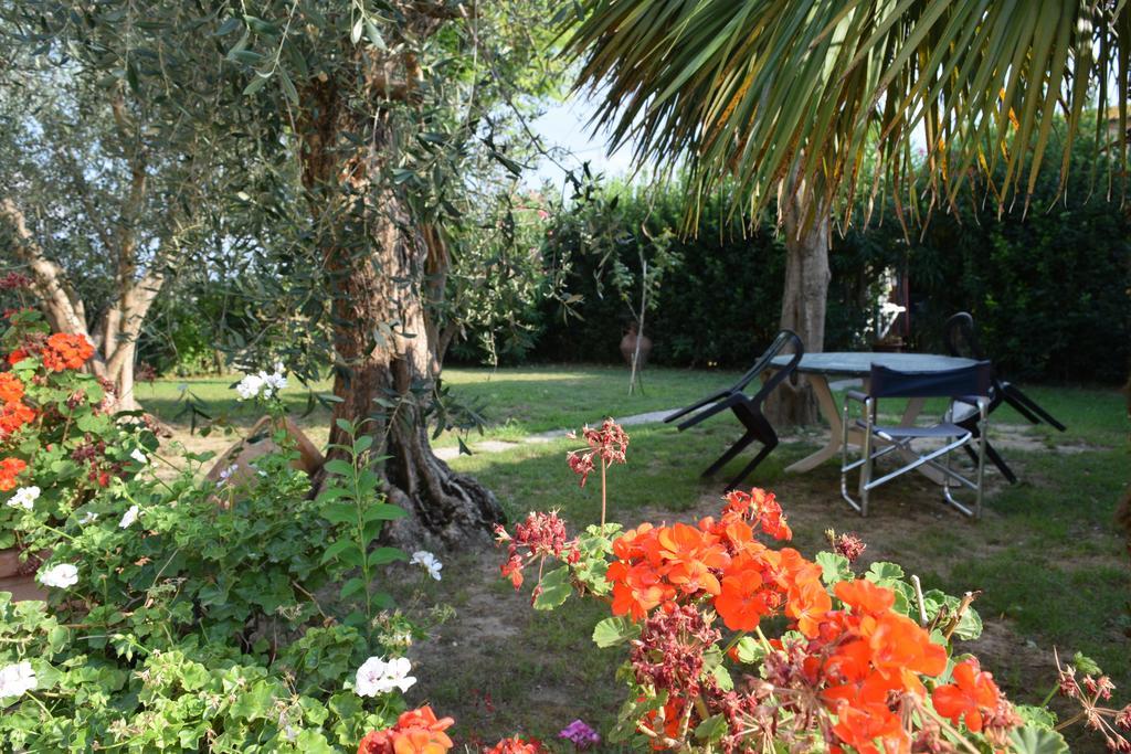 Uliveto Terme La Convenienza B&B 외부 사진