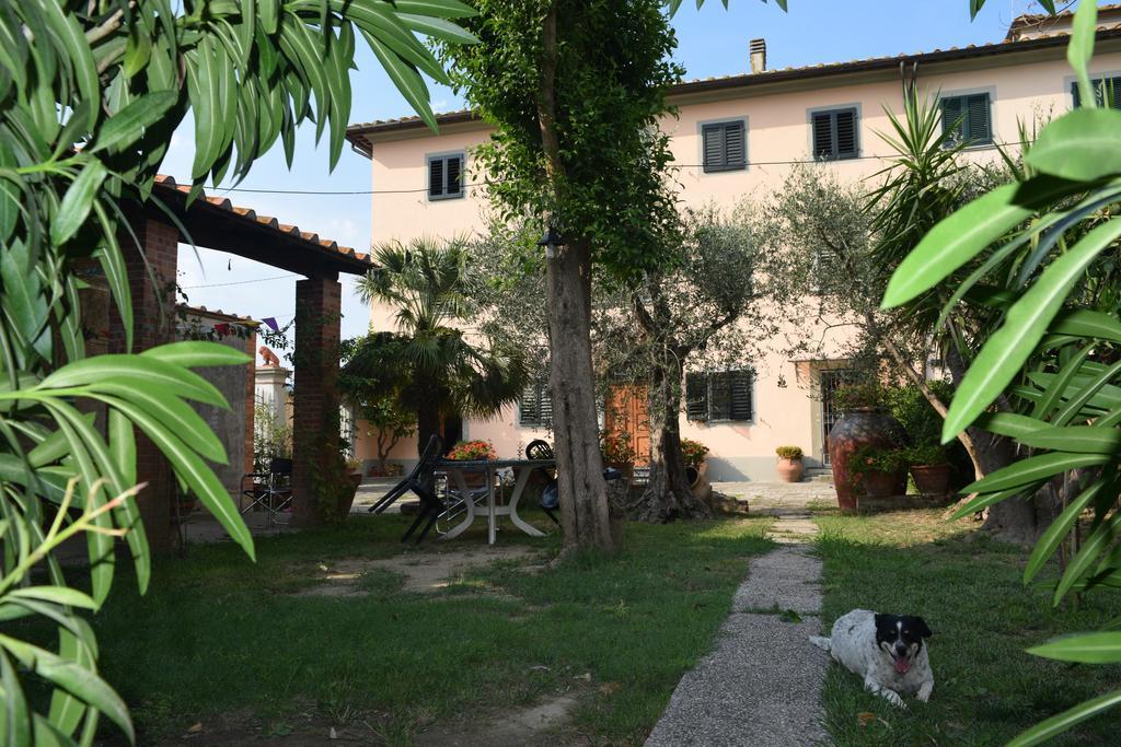 Uliveto Terme La Convenienza B&B 외부 사진