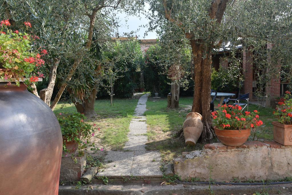 Uliveto Terme La Convenienza B&B 외부 사진