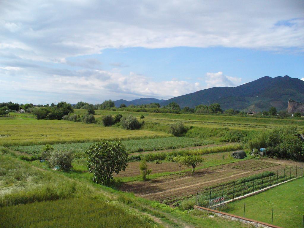 Uliveto Terme La Convenienza B&B 외부 사진