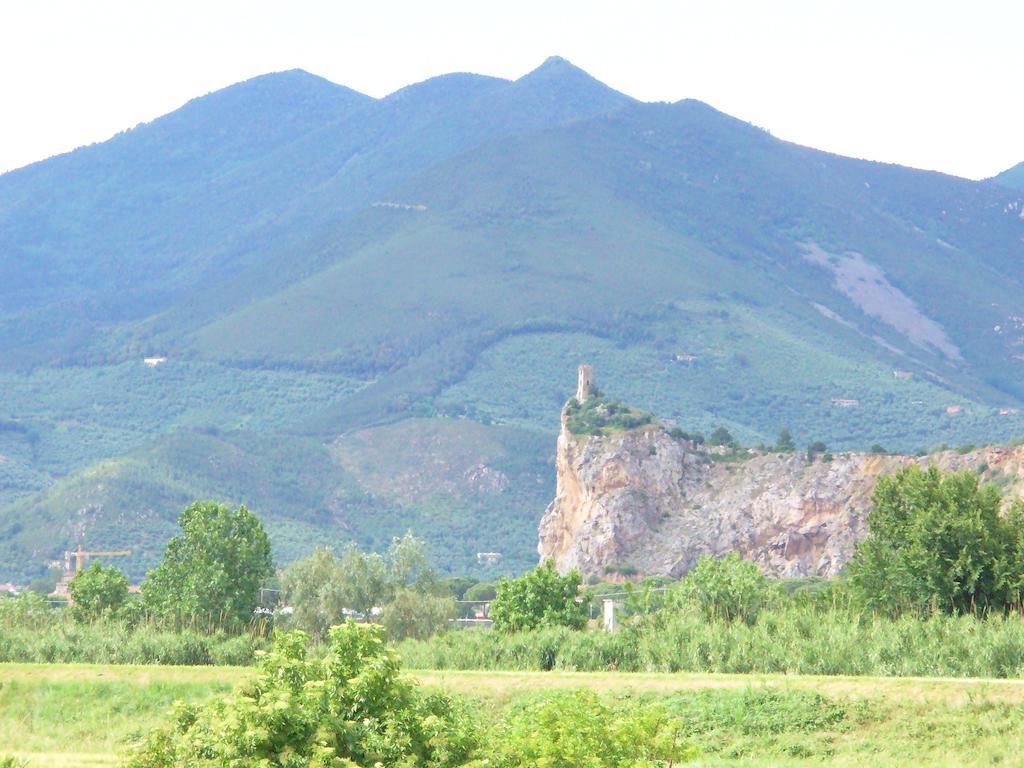 Uliveto Terme La Convenienza B&B 외부 사진