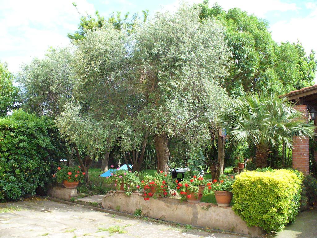 Uliveto Terme La Convenienza B&B 외부 사진